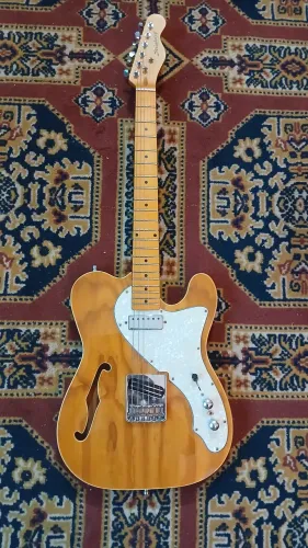 Guitarra Tele Thinline upgrade