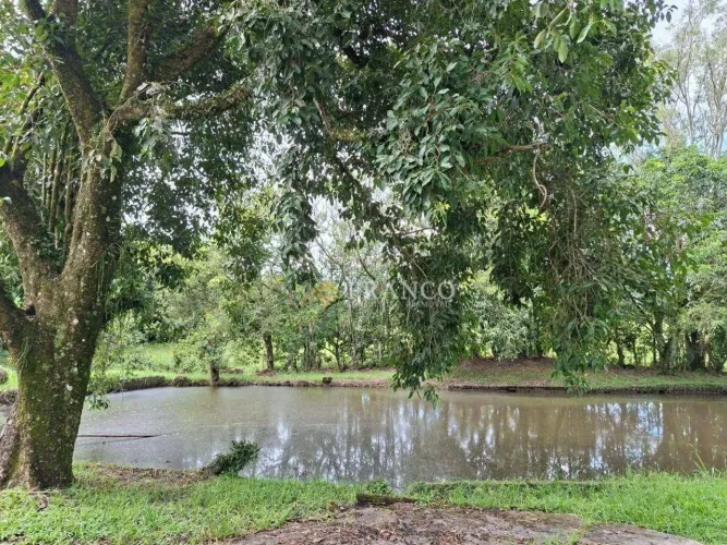Sítio com 14 dormitórios para alugar, 10.000 m² - Mato Dentro - Tremembé/SP