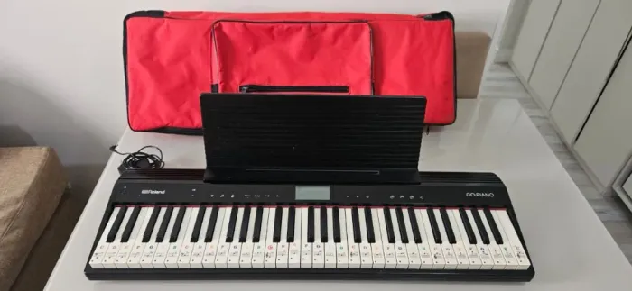 Teclado Roland GO Piano - Excelente Estado + Capa + Fonte
