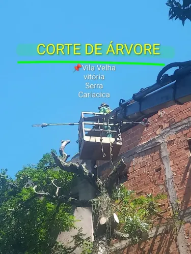 Corto árvore e descarto 