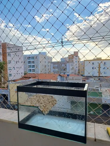 Aquário