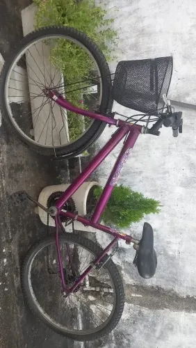 Bicicleta Feminina