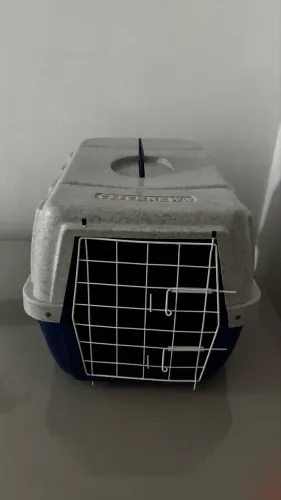 Casinha de cachorro 