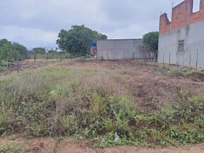 Terreno excelente localização, Avenida Sítio, Centro de santo Estevão, 12,5 x 25.5.r.