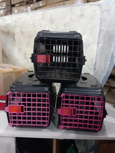 Caixa transporte pet