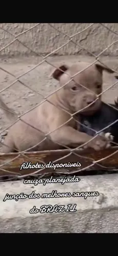Pit monster
