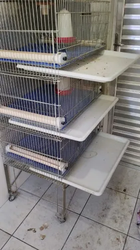 Gaiola criadeira profissional 3 andar 