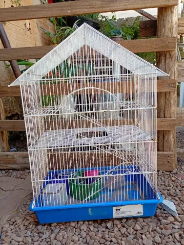 Gaiola para hamister