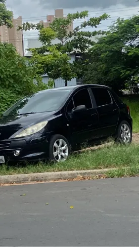Peugeot 307 Feline 2.0/2.0 Flex 16V 5P Mec. 2009