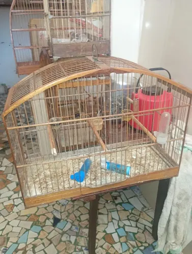 Gaiola para passarinho