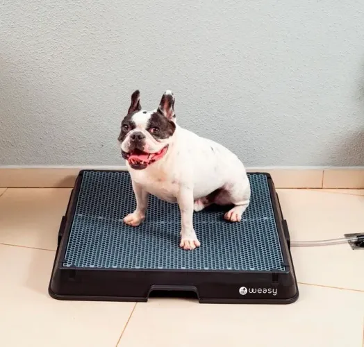 Sanitário banheiro pet Weasy cão