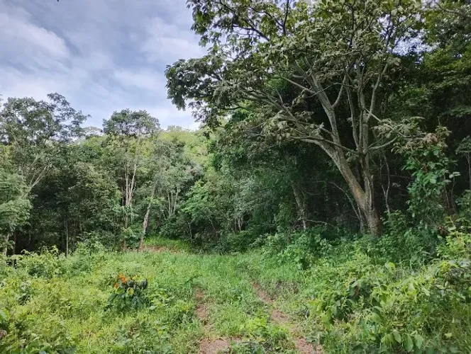 Chácara 24.000m², Escriturada, Arborizada, Ondulada, Já Com Energia, Cromínia.