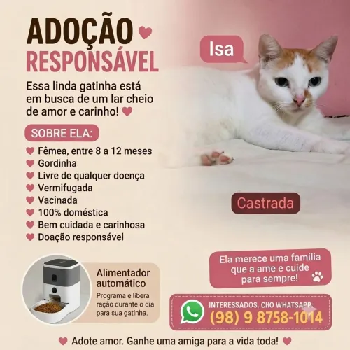 ADOÇÃO RESPONSÁVEL - CASTRADA