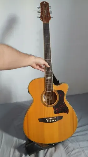 Violão Elétrico de Aço Strinberg Flat SF 20C