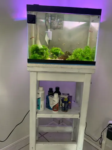 Aquário completo 30 litros