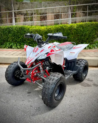 QUADRICICLO ALPHA CROSS 125 FUN MOTORS (PARA ADOLESCENTE E ADULTO) 0 KM
