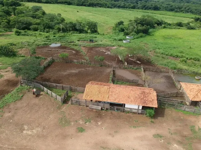 EXCELENTE FAZENDA NO NORTE DE MINAS COM MUITA AGUA E BEM FORMADA