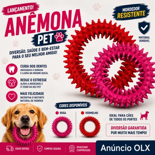 KIT 2 MORDEDORES ANÊMONA PARA CÃES - INTERATIVO E RESISTENTE