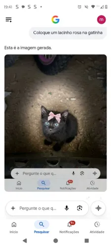 Gatinha linda pra doação
