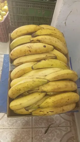 Banana pacovan 