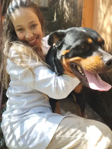 Rottweiler fêmea cabeça de touro