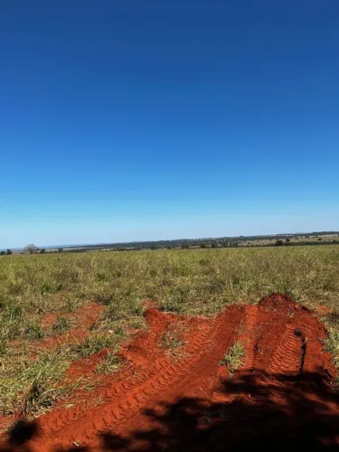 Fazenda a venda em Dois Irmãos do Buriti - Ms ( 1 km do município )