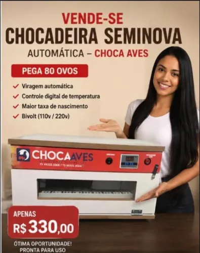 Chocadeira chocaaves