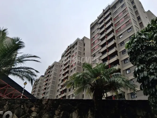 cobertura - Taquaral - Campinas