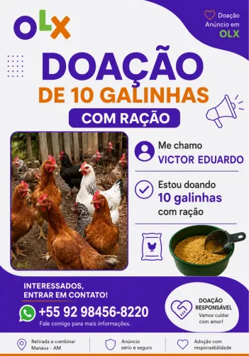 DOAÇÃO DE GALINHA CAIPIRA
