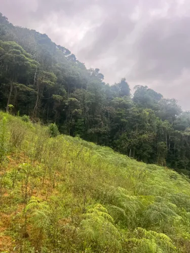 Terreno com rio em Pedra Azul