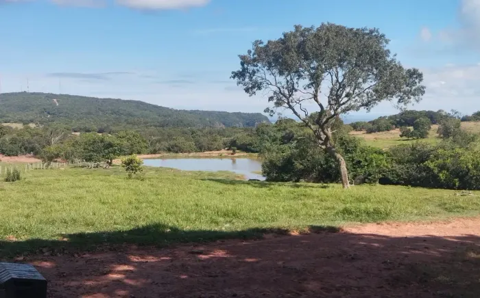 COD.581 - Fazenda 407 ha com 9.000 pés de Laranja Produzindo | MS