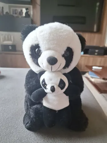 Panda com filhote