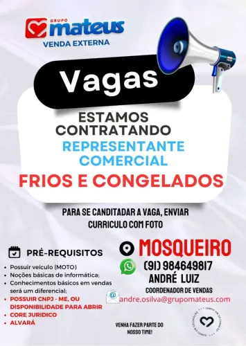 Representante comercial 