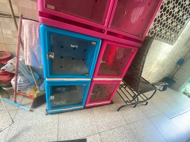 Canil Pet para banho e tosa