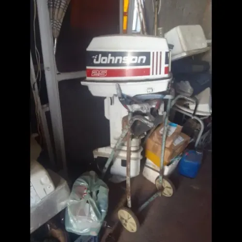 Vendo motor Johnson 25 revisado 