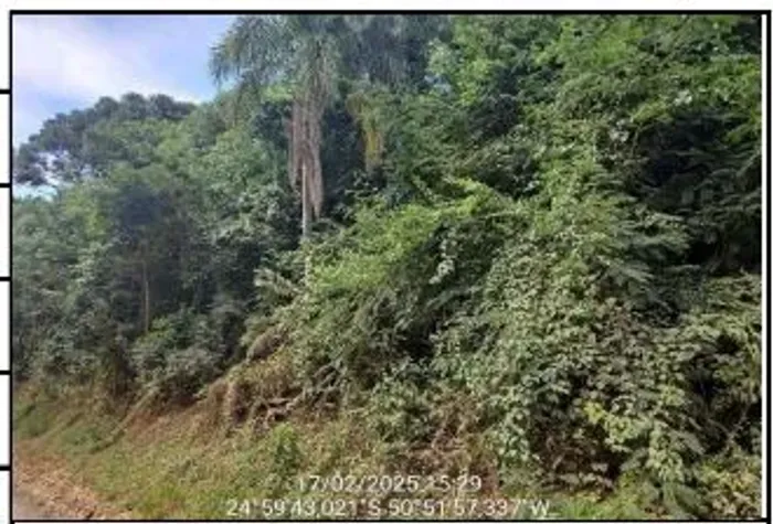 Oportunidade de investimento Gleba em Ivai - PR, Nº 00 | Leilão