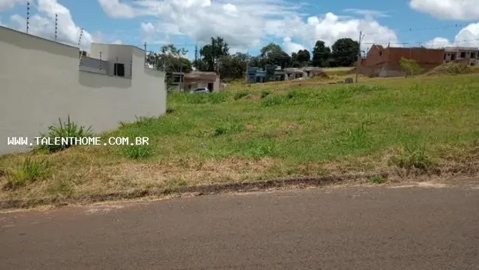 Terreno para Venda em Ibiporã, Jardim Delta Ville
