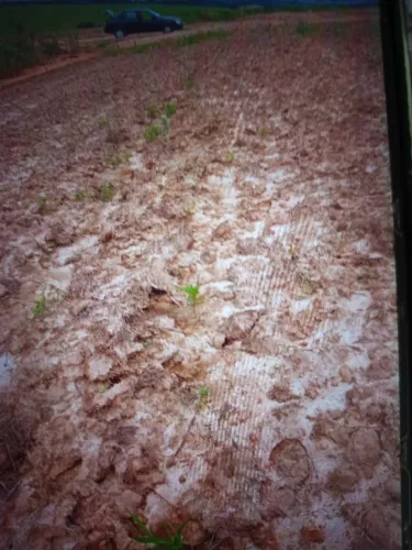 Terreno ECIVITAS Alteza