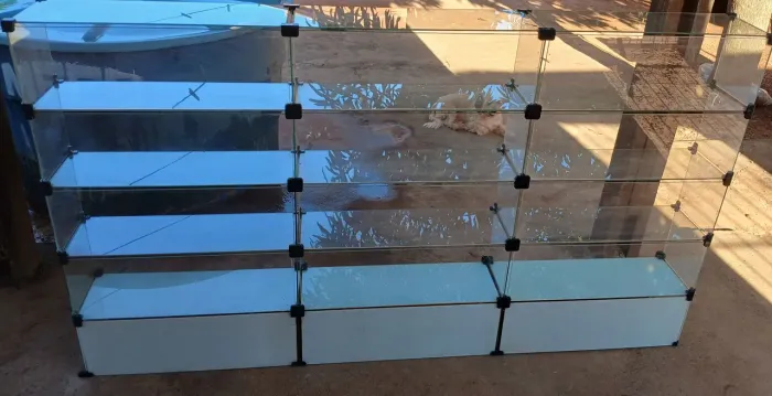 Balcão expositor / vitrine 