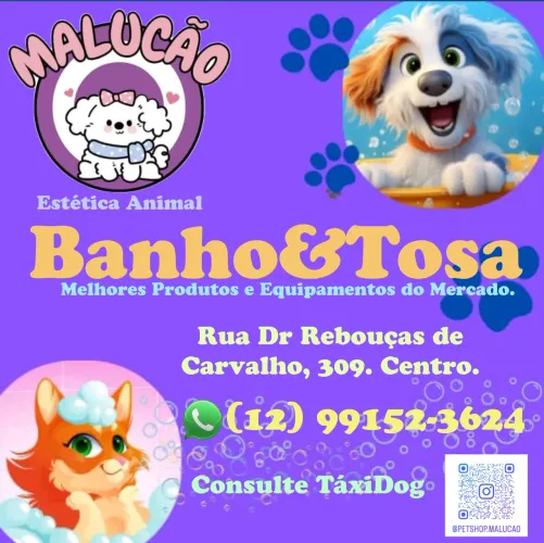 Malucão Estética Animal - Banho & Tosa