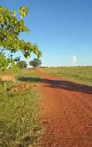 Fazenda à Venda no Vale do Araguaia/Xingu - MT | 2.330 hectares