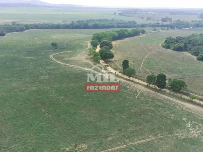 Fazenda 108 alqueires (522 hectares) Campinorte - Go
