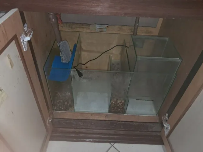 Aquário marinho ou doce