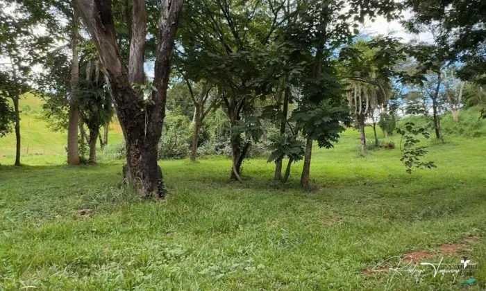 Terreno no Aldeia do Vale  2.914 m² com vista para mata e para o condomínio