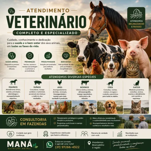 Serviço veterinário