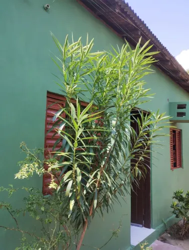 ALUGA-SE APARTAMENTOS.