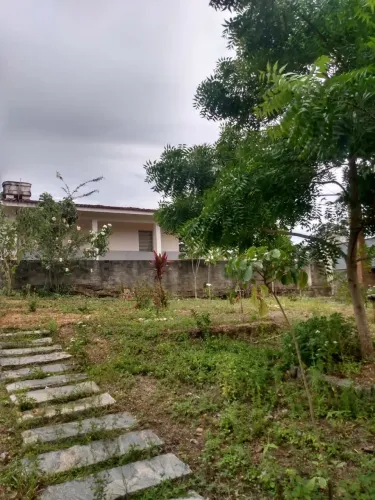Áreas à venda, CENTRO, Salgado, SE