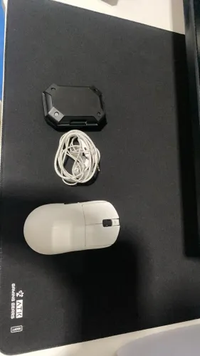 Mouse