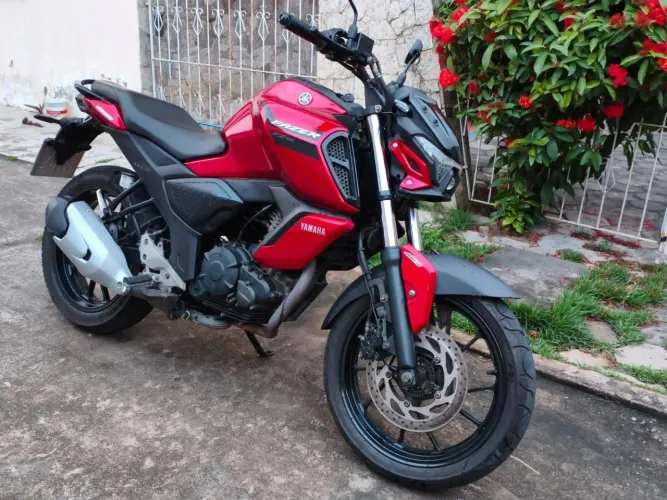 Fz15