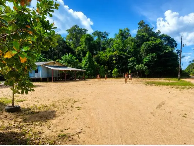 Vende-se lindo sítio na AM-352 - Ramal do Uga-Uga (Estrada de Novo Airão km 26)